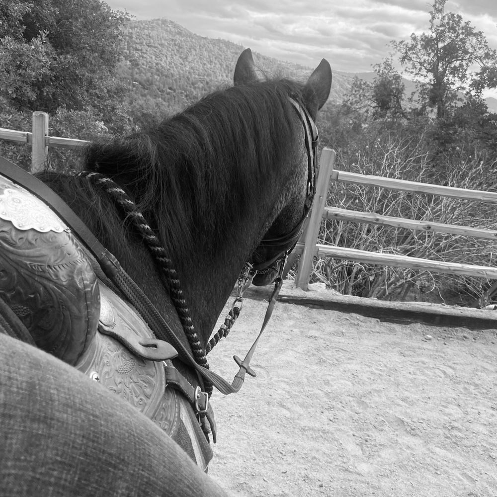 Meet your Posher, Alyona